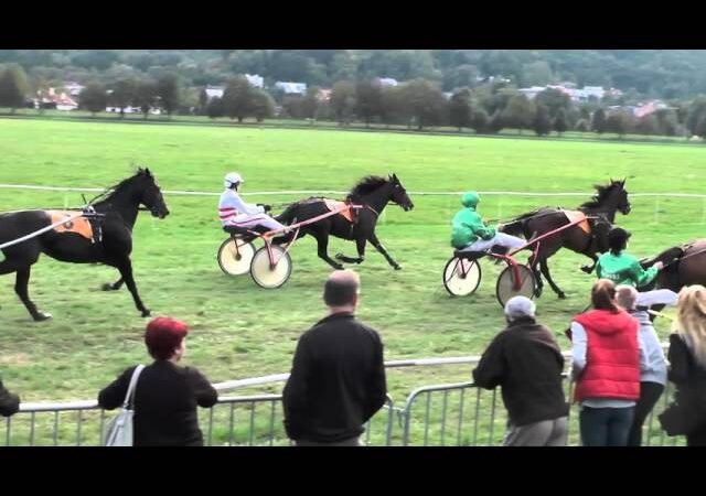Jeudi 18 juin 2026 ParisLongchamp (R1-C7) – PRIX DU NABOB