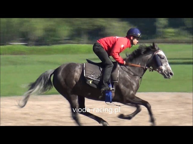 Mercredi 30 avril 2025 ParisLongchamp (R1-C1) – PRIX DU PORT AU FOUIN