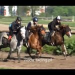 Mardi 18 août 2026 DEAUVILLE (R1-C8) - PRIX DU VIEUX BASSIN