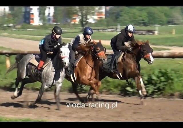 Mercredi 16 juillet 2025 LE MONT SAINT MICHEL (R1-C7) – PRIX DES ETABLISSEMENTS RAULT-TRACTEURS