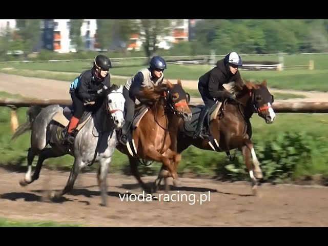 Mercredi 16 juillet 2025 LE MONT SAINT MICHEL (R1-C7) – PRIX DES ETABLISSEMENTS RAULT-TRACTEURS