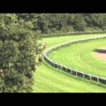 Jeudi 13 août 2026 DEAUVILLE (R1-C8) - SUMBE PRIX DES CHENETTES