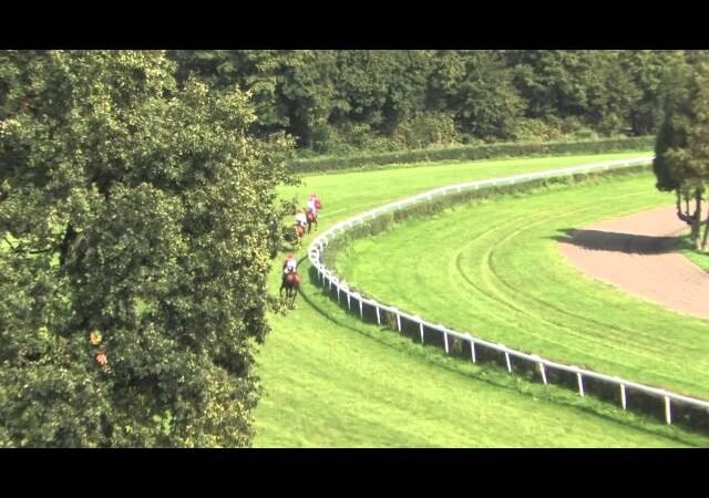 Mardi 24 juin 2025 CHANTILLY (R1-C7) – PRIX DE LA FORET DE CHANTILLY