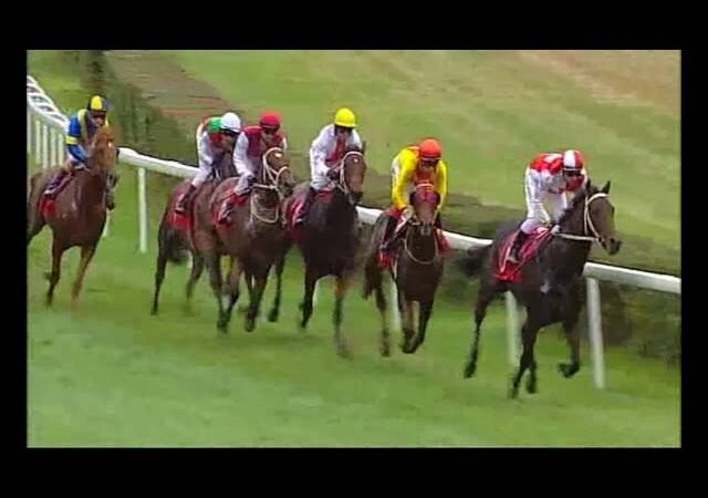 Mercredi 25 mars 2026 BORELY (R1-C1) – GRAND NATIONAL DU TROT