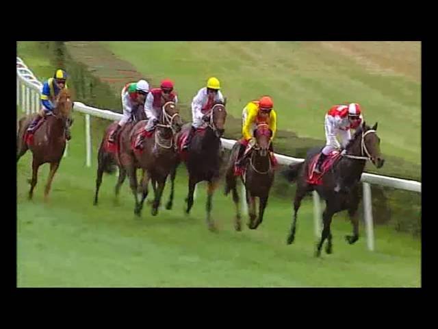 Vendredi 01 mai 2026 SAINT-CLOUD (R1-C4) – PRIX DE BEAUMESNIL