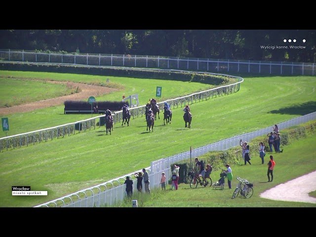 Dimanche 13 juillet 2025 ParisLongchamp (R1-C3) – CYGAMES HANDICAP DE LA FETE NATIONALE