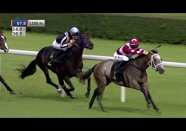 Mercredi 28 janvier 2026 PAU (R1-C1) – PRIX SOAL RACING (PRIX RENE CRAMAIL)