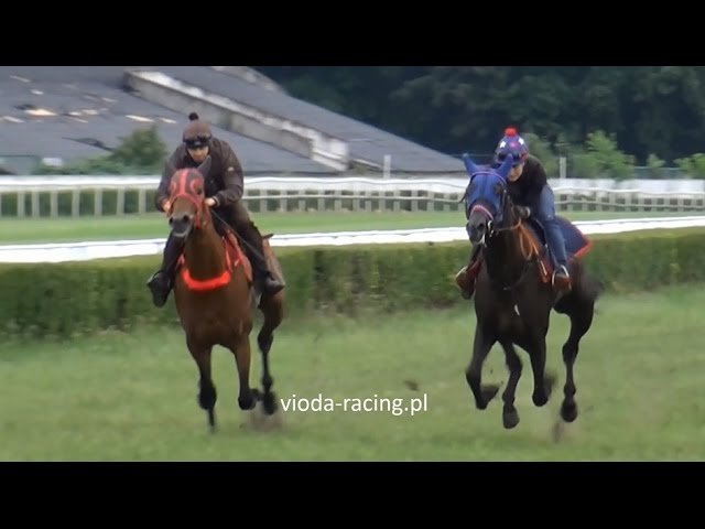 Vendredi 02 mai 2025 VINCENNES (R1-C4) – PRIX BETTINA