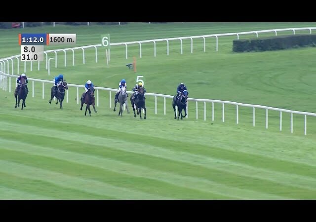 Jeudi 19 juin 2025 ParisLongchamp (R1-C7) – PRIX DU NABOB