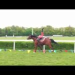 Samedi 09 mai 2026 CAEN (R1-C4) - PRIX DES DUCS DE NORMANDIE