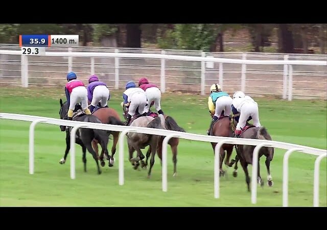 Mardi 08 juillet 2025 CHANTILLY (R1-C7) – PRIX LE ROI SOLEIL