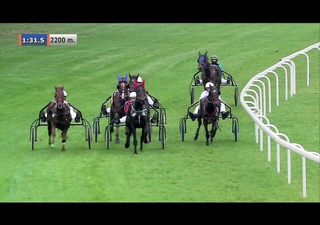 Vendredi 07 août 2026 CABOURG (R1-C4) – PRIX BRUNO COQUATRIX