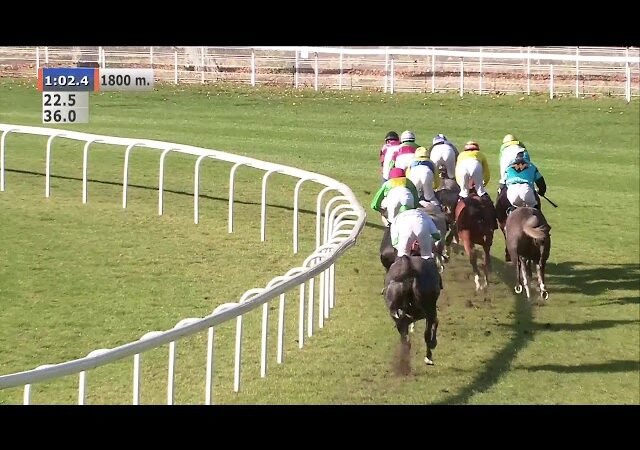 Lundi 23 février 2026 AUTEUIL (R1-C1) – PRIX ROSE LAUREL