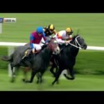 Mardi 04 août 2026 DEAUVILLE (R1-C8) - PRIX DES GRENIERS A SEL