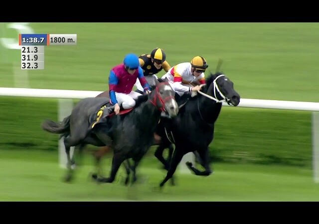 Samedi 21 juin 2025 COMPIEGNE (R1-C4) – PRIX RACE AND CARE