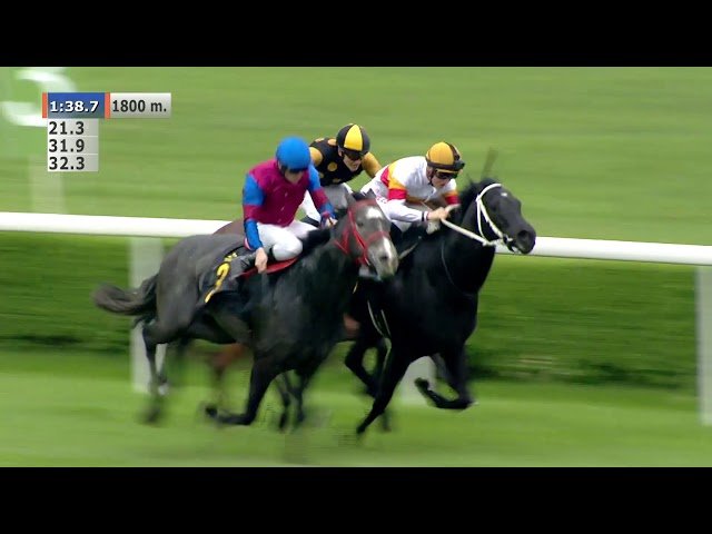 Samedi 21 juin 2025 COMPIEGNE (R1-C4) – PRIX RACE AND CARE