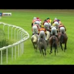 Mardi 11 août 2026 DEAUVILLE (R1-C8) - PRIX DES COLLECTIVITES LOCALES