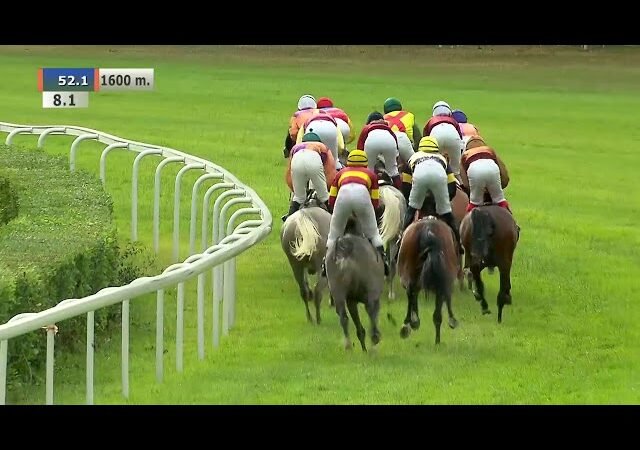 Mardi 11 août 2026 DEAUVILLE (R1-C8) – PRIX DES COLLECTIVITES LOCALES