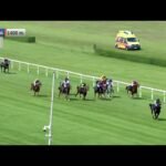 Jeudi 19 février 2026 VINCENNES (R1-C1) - PRIX DU CANTAL