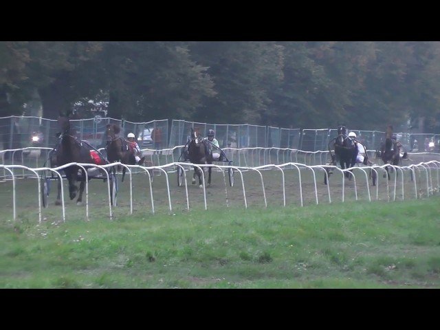 Dimanche 18 mai 2025 AUTEUIL (R1-C4) – LE DEFI DES HARAS – GRAND STEEPLE-CHASE DE PARIS