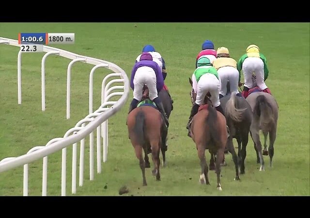 Mardi 06 mai 2025 CHANTILLY (R1-C1) – PRIX DE MONTAGNY