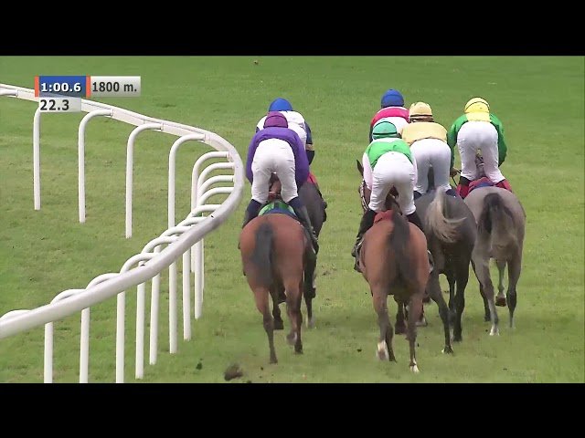 Samedi 10 mai 2025 CAEN (R1-C4) – PRIX GEORGES DREUX