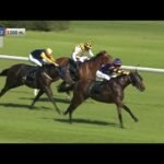 Dimanche 10 mai 2026 ParisLongchamp (R1-C5) - SUPER HANDICAP DU PRINTEMPS