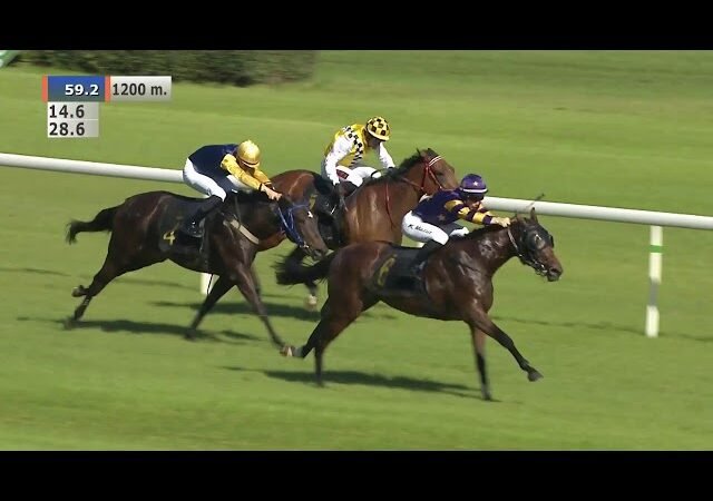 Jeudi 05 juin 2025 ParisLongchamp (R1-C6) – PRIX DE LA PLACE VENDOME