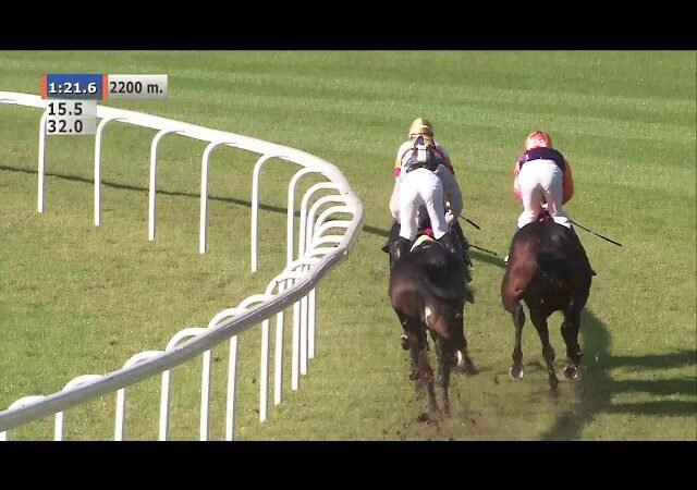 Dimanche 01 mars 2026 AUTEUIL (R1-C3) – PRIX SOUVIENS-TOI
