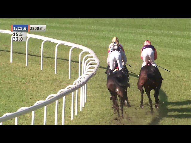 Mercredi 22 avril 2026 CHATEAUBRIANT (R1-C1) – GRAND NATIONAL DU TROT