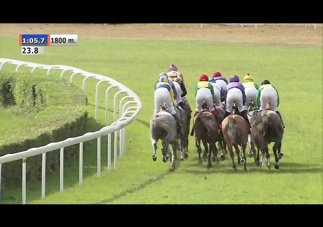 Mardi 28 juillet 2026 COMPIEGNE (R1-C8) – PERSONNEL D’ECURIE BY AG2R LA MONDIALE – PRIX DE L