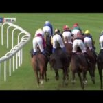 Dimanche 15 février 2026 VINCENNES (R1-C5) - PRIX DE LA LUSOPHONIE (PRIX D'ARRAS)