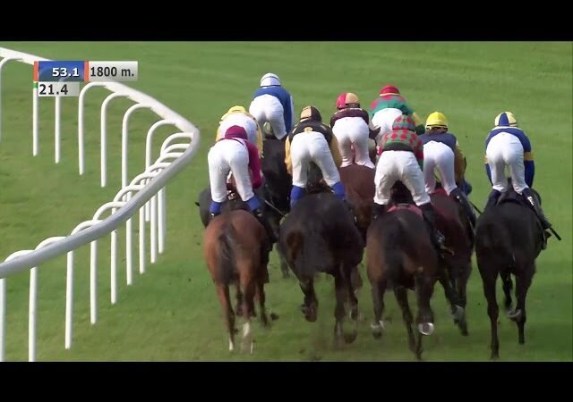 Dimanche 15 février 2026 VINCENNES (R1-C5) – PRIX DE LA LUSOPHONIE (PRIX D&rsquo;ARRAS)