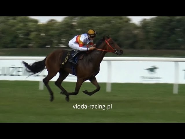 Dimanche 26 juillet 2026 MONT DE MARSAN (R1-C3) – PRIX LE JOURNAL LE VEINARD
