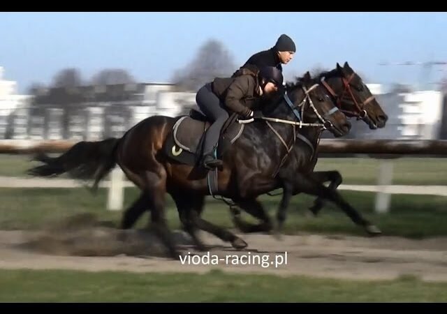 Lundi 30 juin 2025 CLAIREFONTAINE (R1-C5) – PRIX DE LA VILLE DE TOURGEVILLE