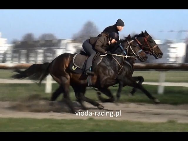 Lundi 30 juin 2025 CLAIREFONTAINE (R1-C5) – PRIX DE LA VILLE DE TOURGEVILLE