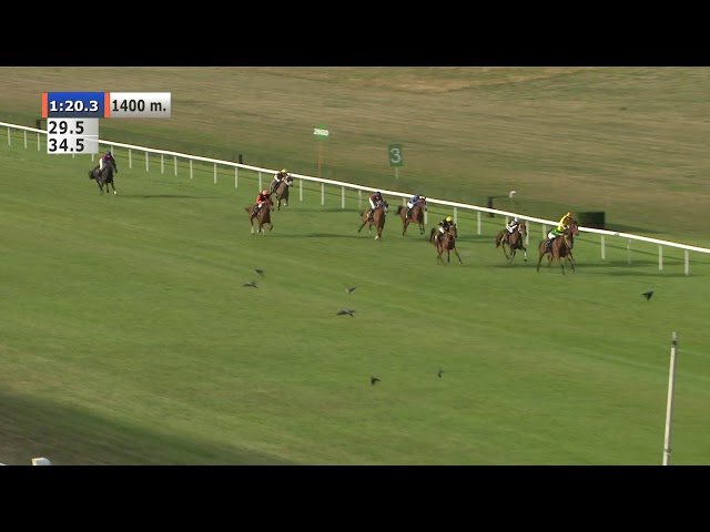 Mercredi 25 juin 2025 VIRE (R1-C4) – PRIX 150ÈME ANNIVERSAIRE DE LA SOCIETE DES COURSES