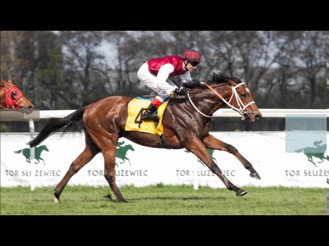 Mardi 21 avril 2026 COMPIEGNE (R1-C1) – PRIX LA BATE