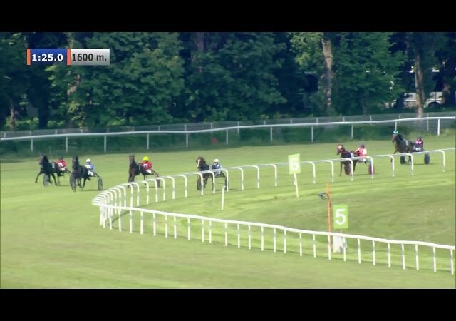 Mercredi 11 juin 2025 CAEN (R1-C4) – PRIX DE THURY HARCOURT