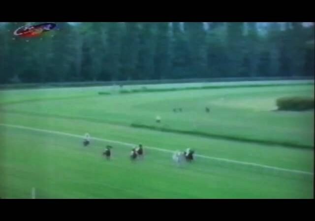 Samedi 28 juin 2025 ENGHIEN (R1-C4) – PRIX DU ROUSSILLON