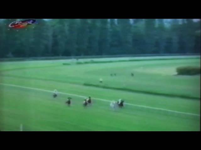 Samedi 28 juin 2025 ENGHIEN (R1-C4) – PRIX DU ROUSSILLON