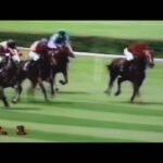 Lundi 02 février 2026 CAGNES/MER (R1-C2) - PRIX DU VAR